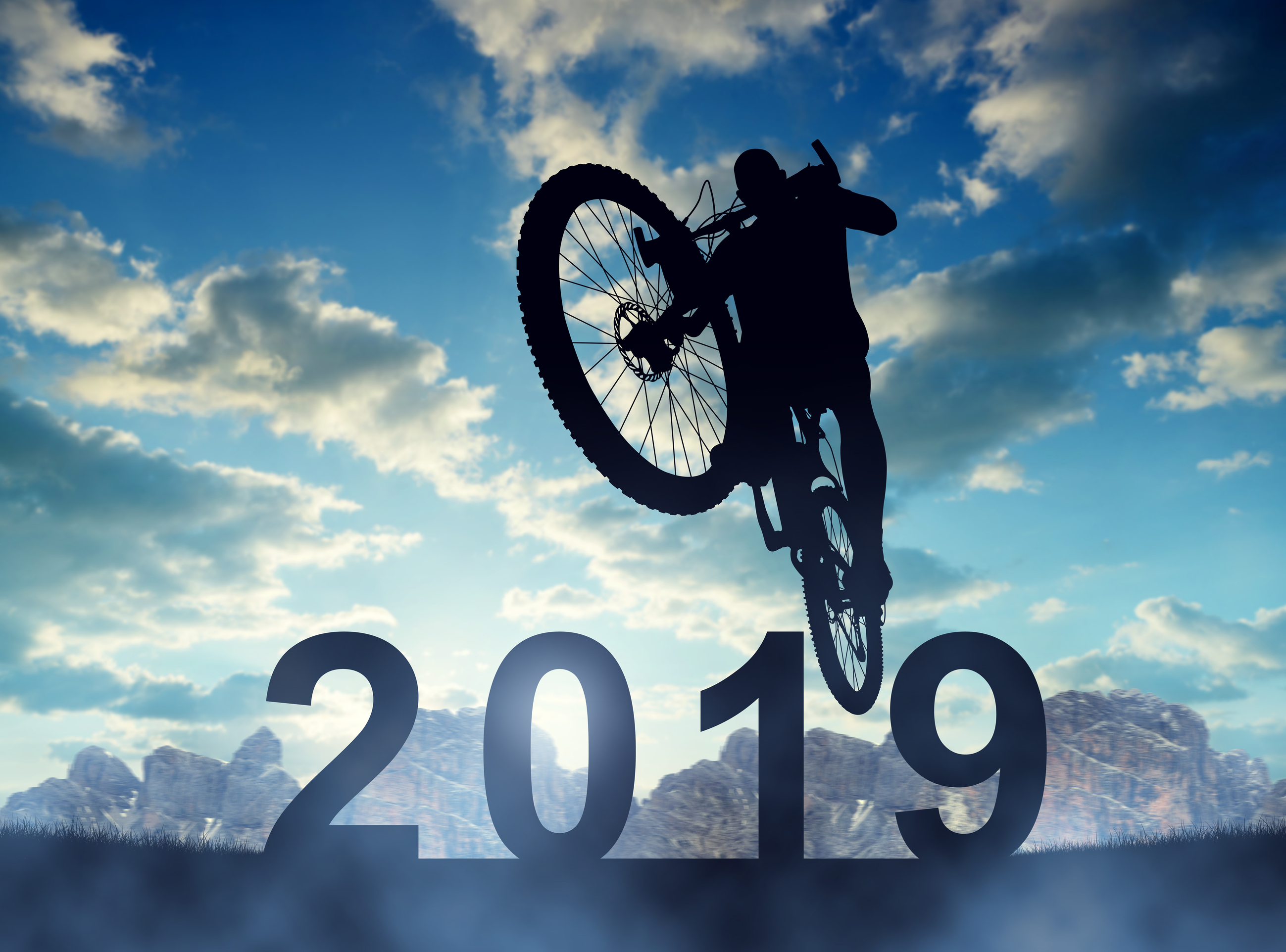Ausblick und Prognosen für  2019